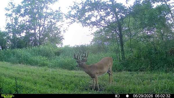 83.9 Acres of Recreational Land for Sale in Forest City, Missouri