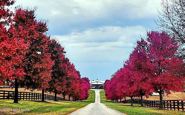 21.1 Acres of Land with Home for Sale in Shelbyville, Kentucky