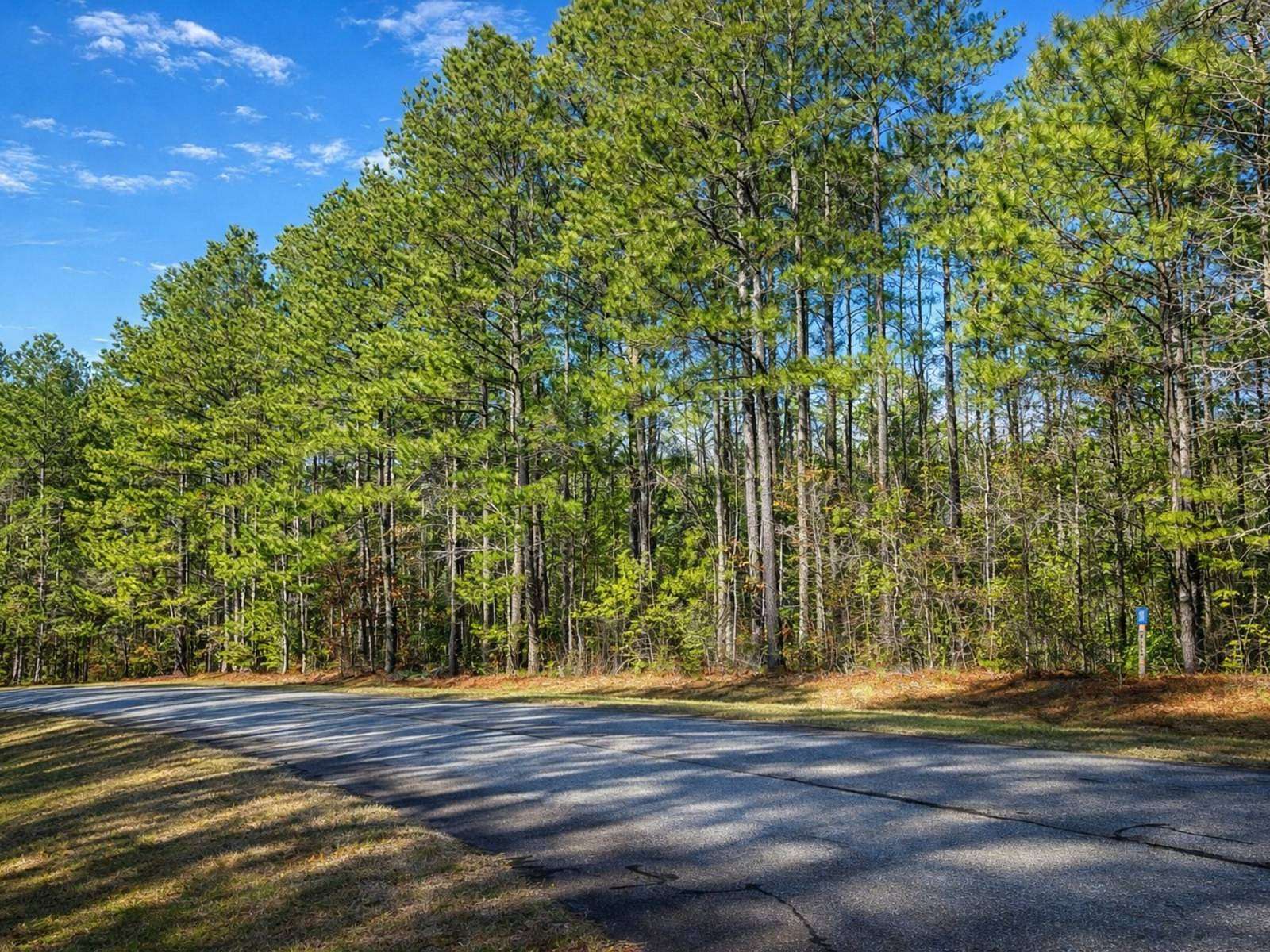 6.6 Acres of Residential Land for Sale in Rockingham, North Carolina