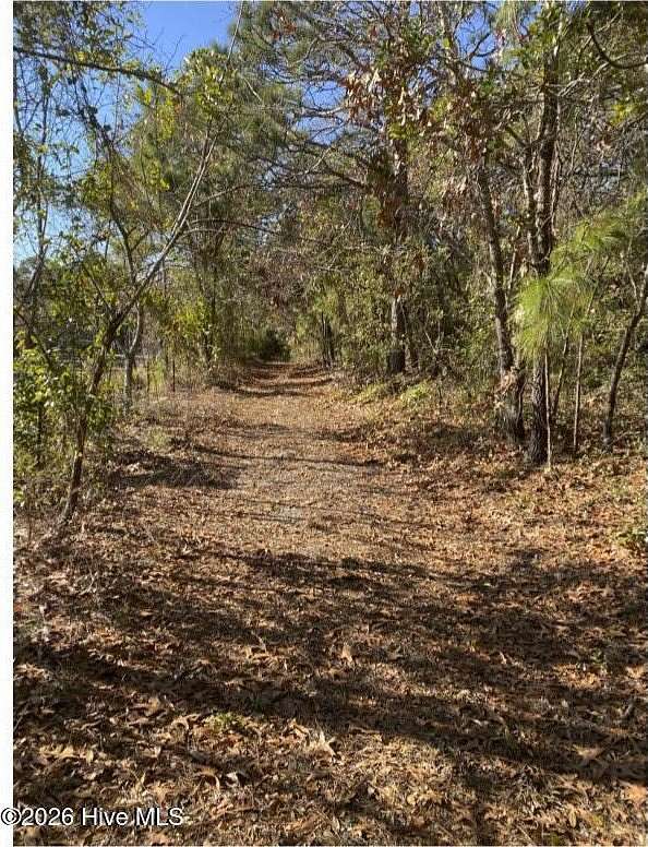 1 Acre of Residential Land for Sale in Wilmington, North Carolina