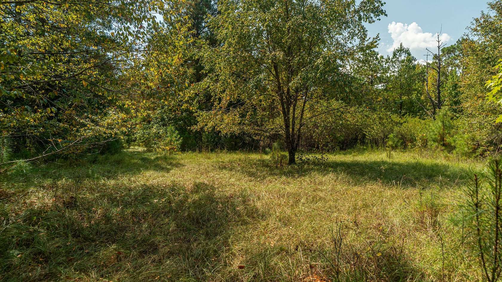 7 Acres of Land for Sale in Wetumpka, Alabama
