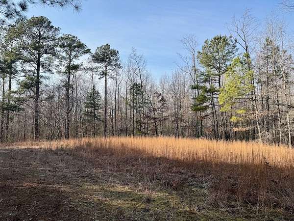 15.7 Acres of Recreational Land for Sale in Rich Square, North Carolina