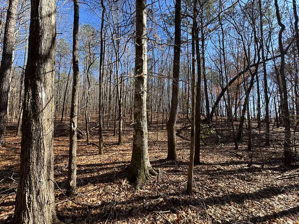 37 Acres of Recreational Land for Sale in Dadeville, Alabama