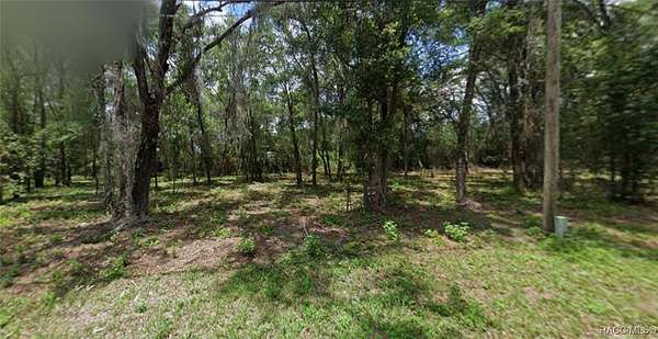 2 Acres of Land for Sale in Hernando, Florida