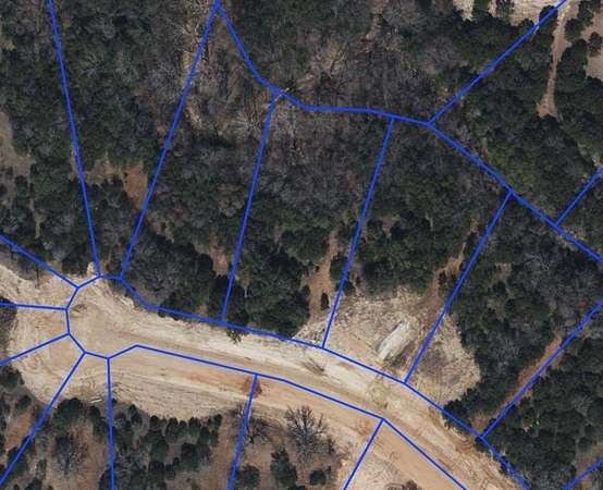 1 Acre of Residential Land for Sale in Nemo, Texas