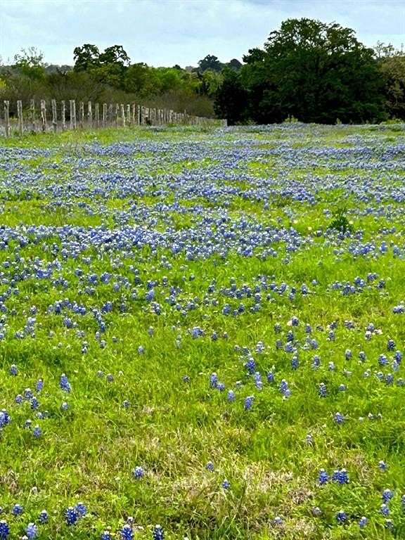 35 Acres of Recreational Land for Sale in New Ulm, Texas