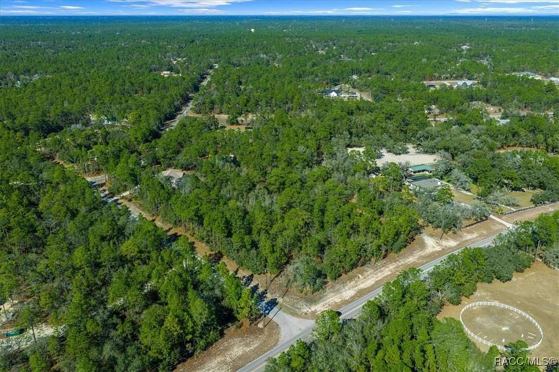 3.36 Acres of Residential Land for Sale in Beverly Hills, Florida