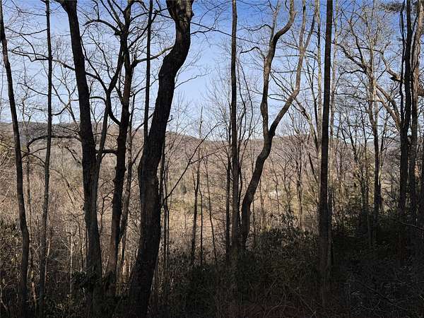 4.7 Acres of Residential Land for Sale in Sapphire, North Carolina