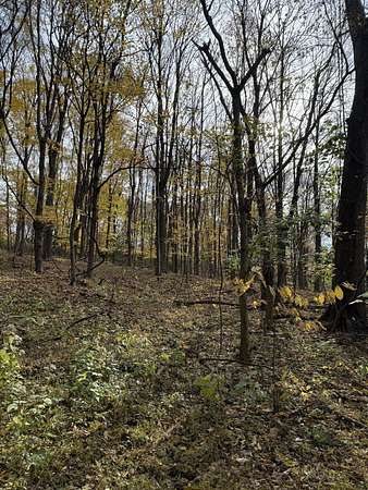 16 Acres of Land for Sale in Petersburg, Kentucky