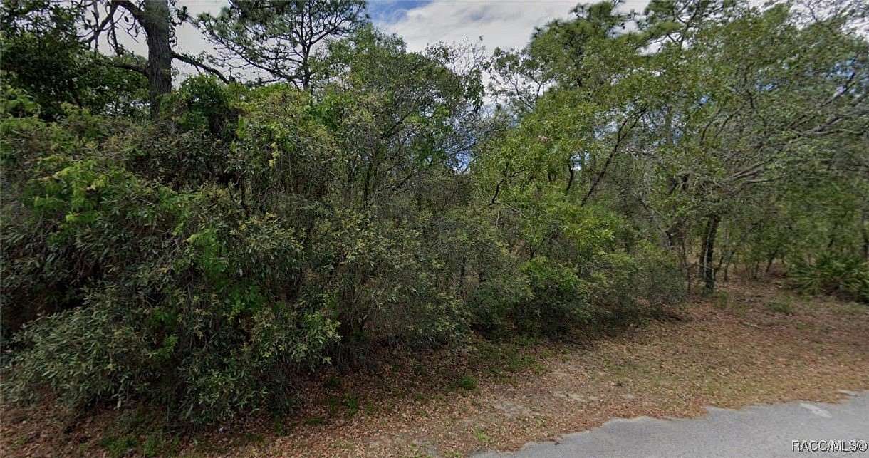0.28 Acres of Residential Land for Sale in Homosassa, Florida