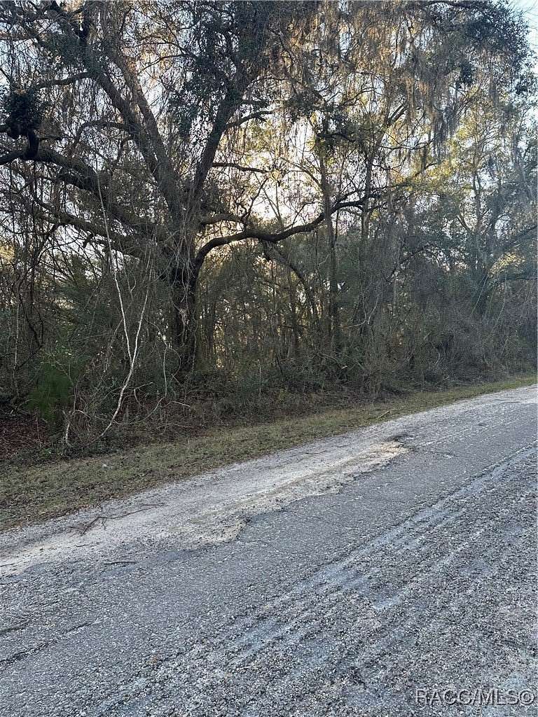 0.62 Acres of Residential Land for Sale in Citrus Springs, Florida