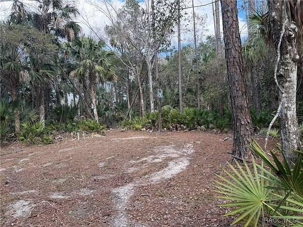 9.82 Acres of Residential Land for Sale in Yankeetown, Florida