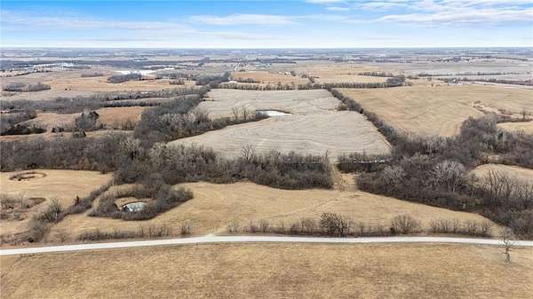 60 Acres of Land for Sale in Stewartsville, Missouri