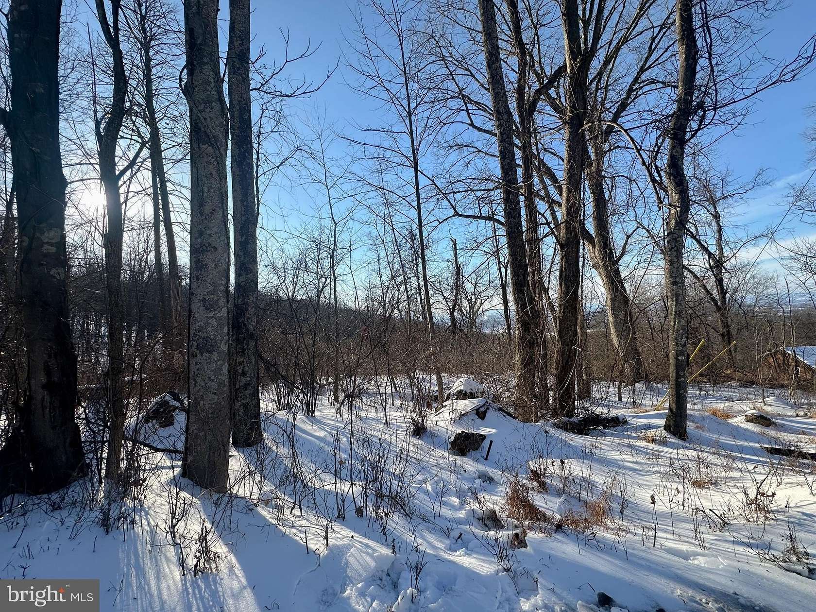 0.46 Acres of Residential Land for Sale in Linden, Virginia