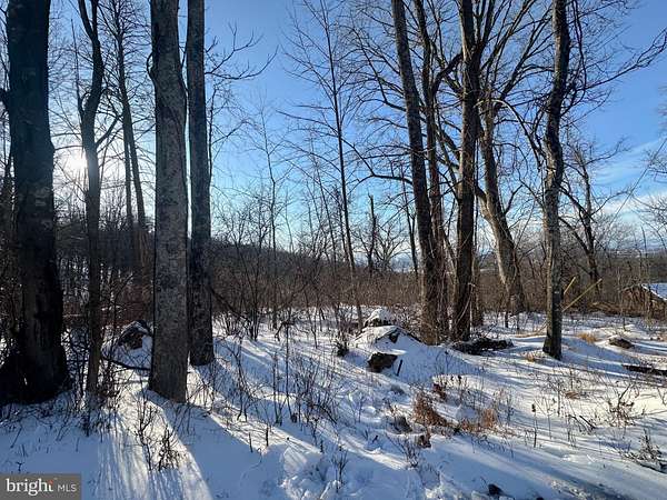 0.46 Acres of Residential Land for Sale in Linden, Virginia