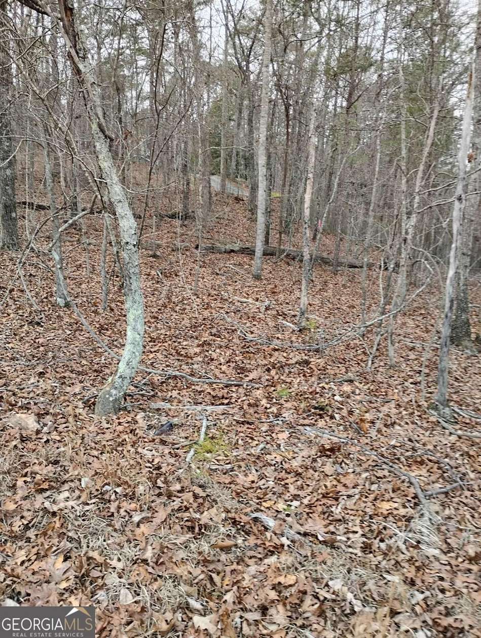 0.75 Acres of Residential Land for Sale in Canton, Georgia