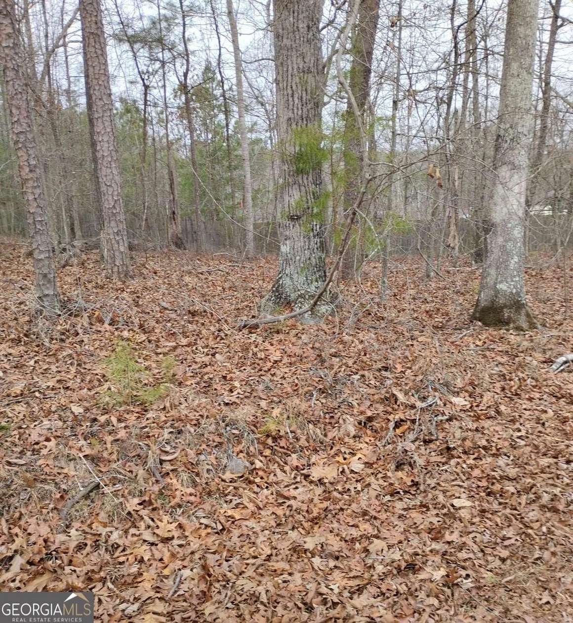 0.75 Acres of Residential Land for Sale in Canton, Georgia