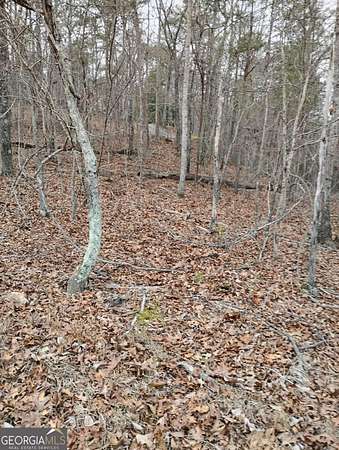 0.75 Acres of Residential Land for Sale in Canton, Georgia