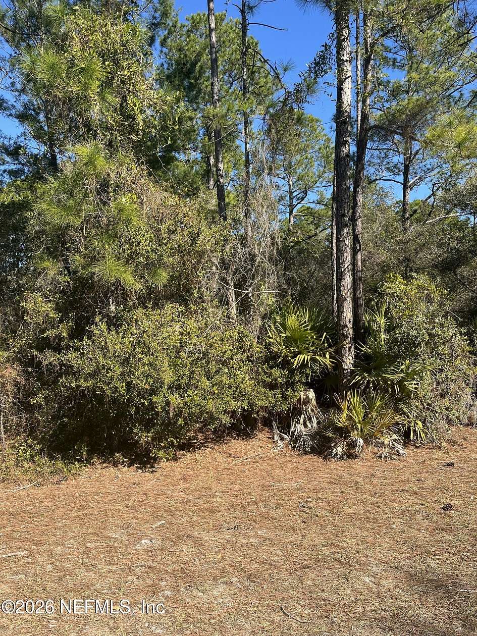 0.46 Acres of Land for Sale in Georgetown, Florida