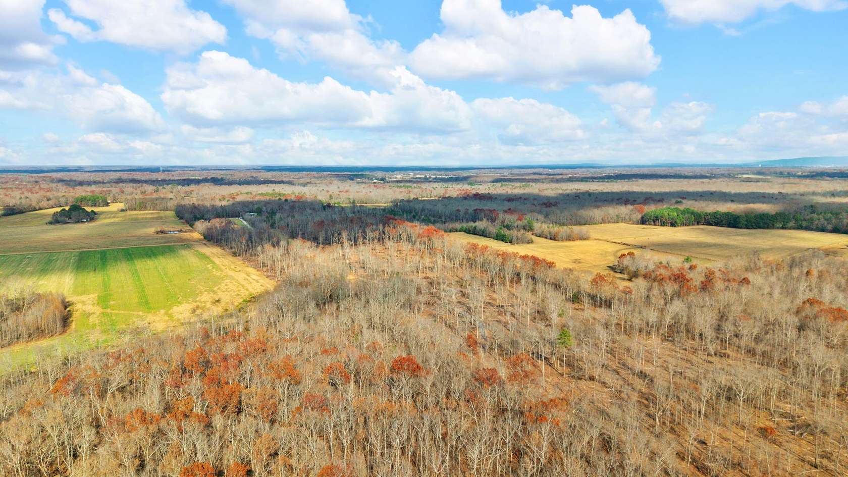 23.1 Acres of Land for Sale in Belvidere, Tennessee