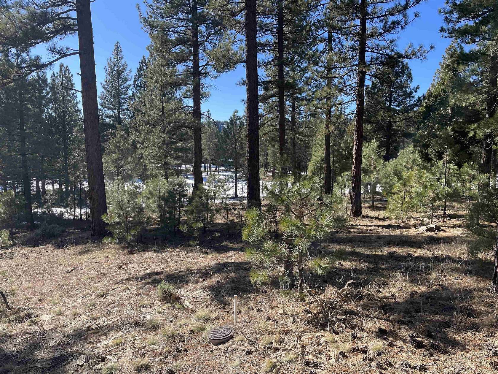 0.61 Acres of Residential Land for Sale in Portola, California