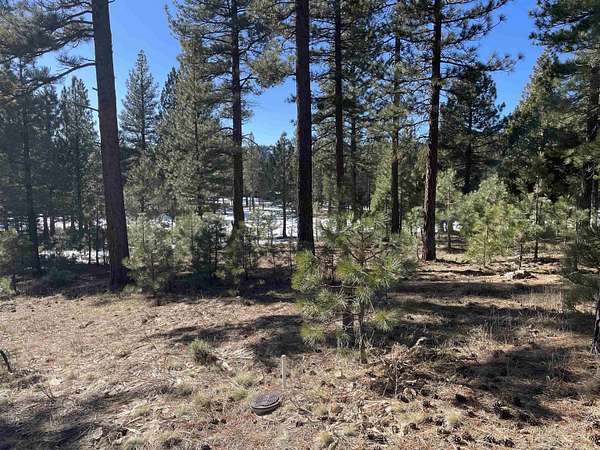 0.61 Acres of Residential Land for Sale in Portola, California