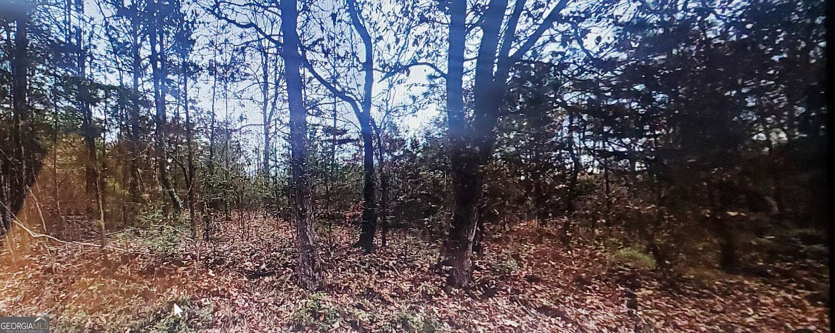 18.7 Acres of Recreational Land for Sale in Dawsonville, Georgia