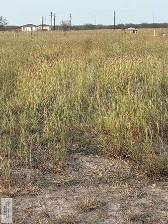 0.18 Acres of Residential Land for Sale in San Benito, Texas