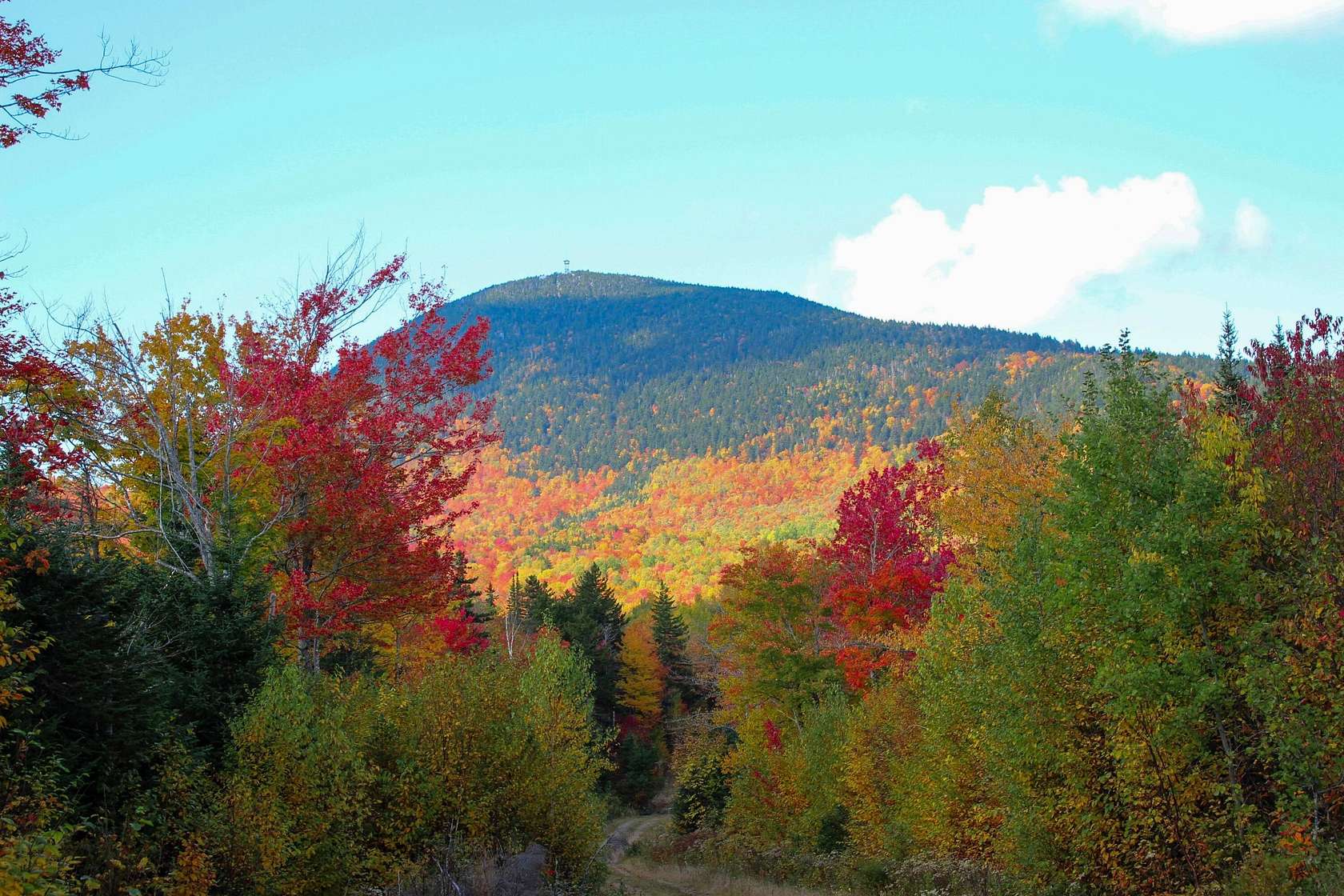 130 Acres of Recreational Land for Sale in Temple, Maine