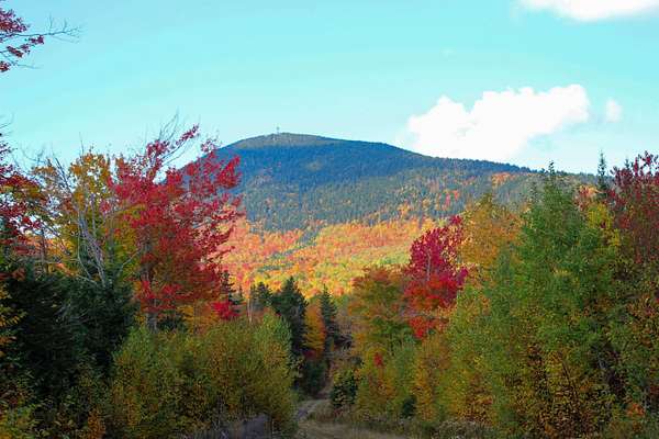130 Acres of Recreational Land for Sale in Temple, Maine