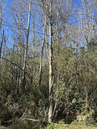 0.21 Acres of Land for Sale in Bay Minette, Alabama