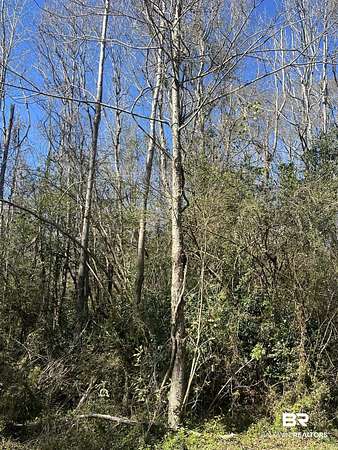 0.21 Acres of Land for Sale in Bay Minette, Alabama