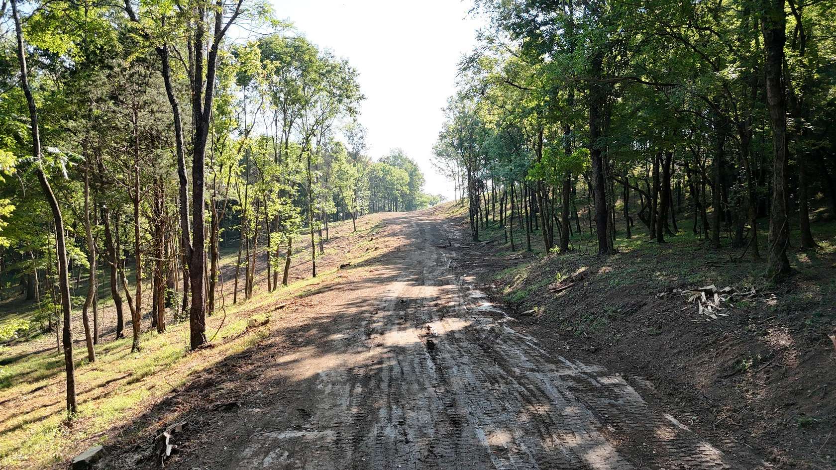 5.49 Acres of Residential Land for Sale in Lewisburg, Tennessee