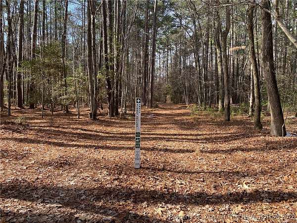 0.53 Acres of Residential Land for Sale in Carthage, North Carolina