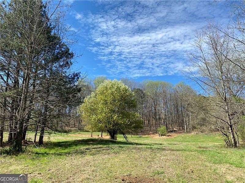9 Acres of Land with Home for Sale in Alpharetta, Georgia