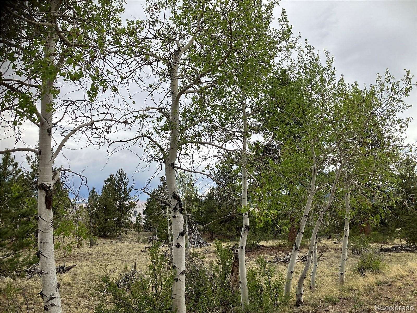 2.5 Acres of Residential Land for Sale in Hartsel, Colorado