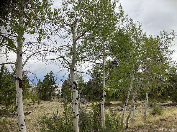 2.5 Acres of Residential Land for Sale in Hartsel, Colorado