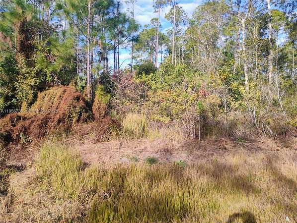0.23 Acres of Residential Land for Sale in Avon Park, Florida