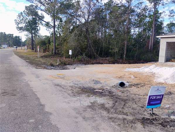 0.02 Acres of Residential Land for Sale in Avon Park, Florida