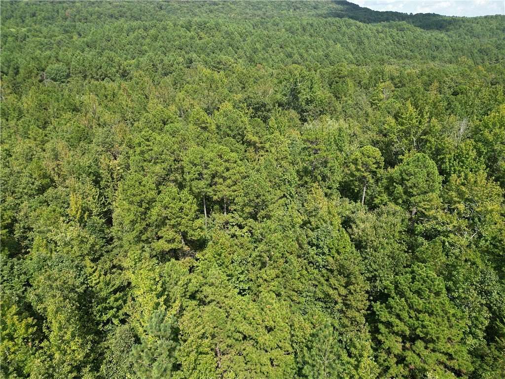 10 Acres of Recreational Land for Sale in Dover, Arkansas