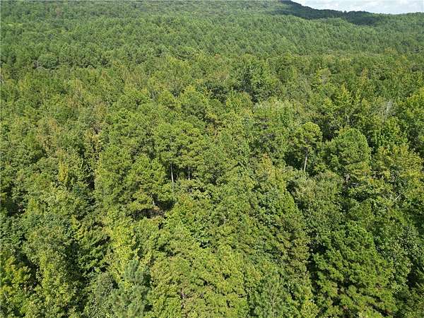 10 Acres of Recreational Land for Sale in Dover, Arkansas