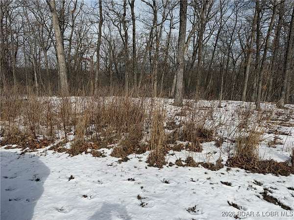 0.23 Acres of Residential Land for Sale in Lake Ozark, Missouri