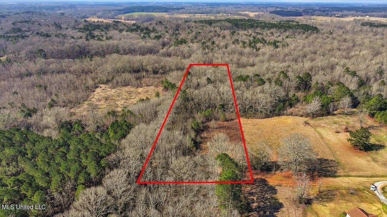 8.3 Acres of Residential Land for Sale in Pelahatchie, Mississippi