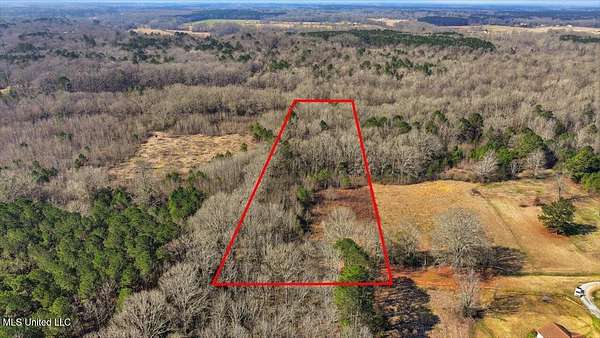 8.3 Acres of Residential Land for Sale in Pelahatchie, Mississippi