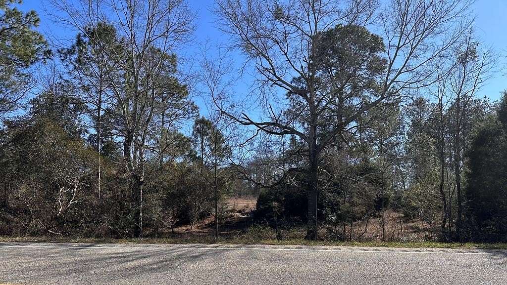 20 Acres of Land for Sale in Samson, Alabama
