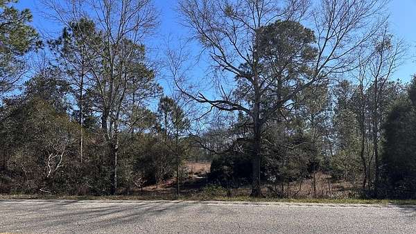 20 Acres of Land for Sale in Samson, Alabama