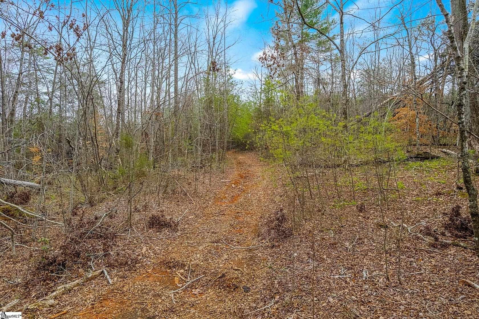 28.9 Acres of Improved Recreational Land for Sale in Travelers Rest, South Carolina