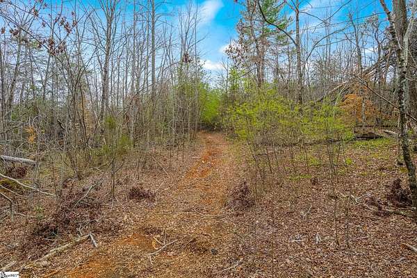 28.9 Acres of Improved Recreational Land for Sale in Travelers Rest, South Carolina