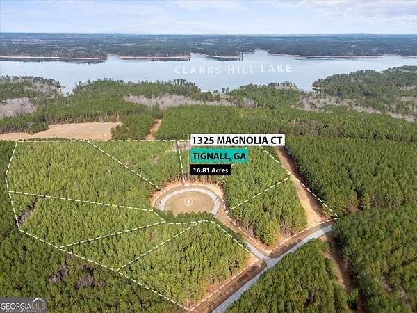 16.8 Acres of Land for Sale in Tignall, Georgia