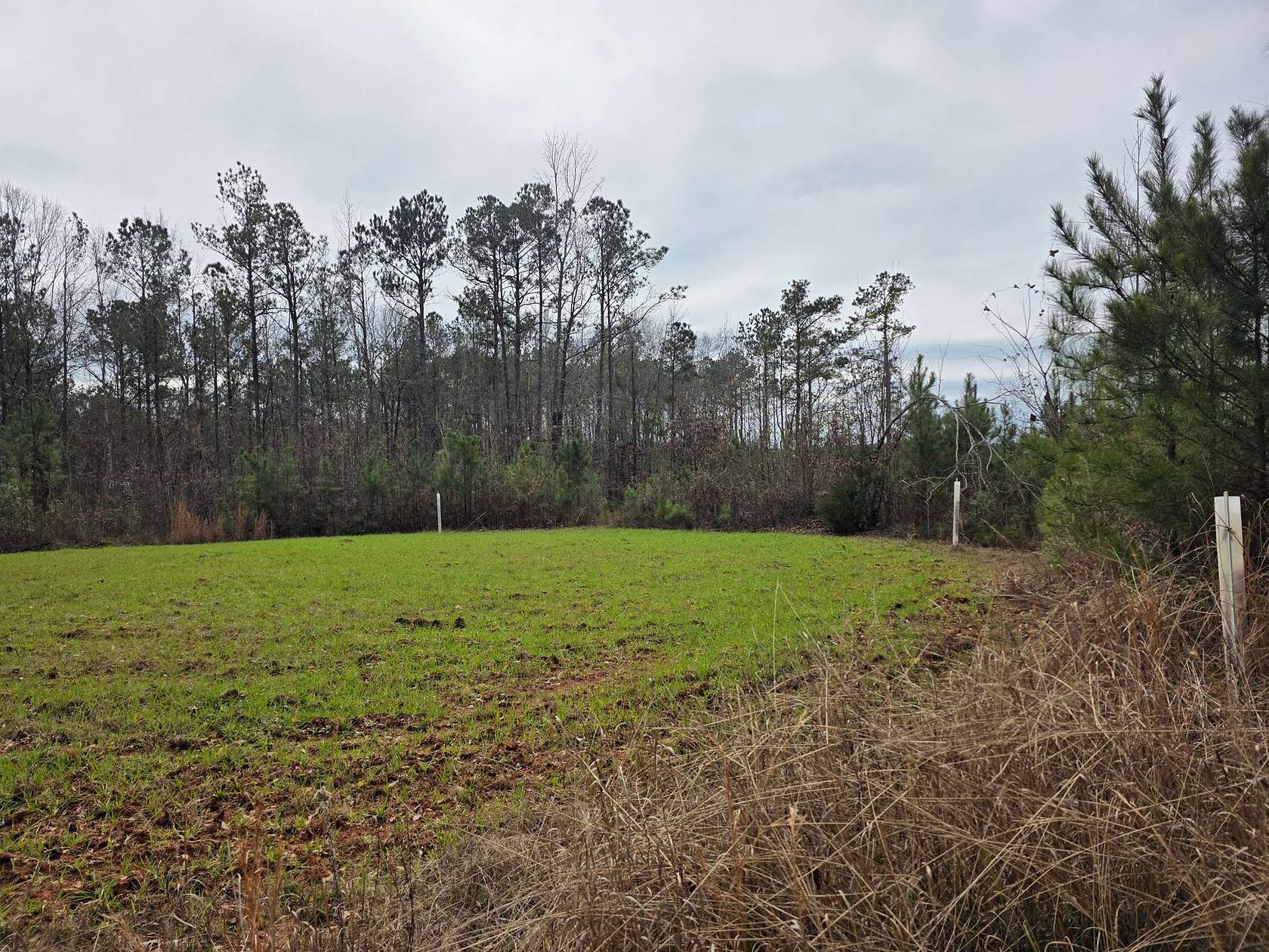 44.2 Acres of Recreational Land for Sale in Camp Hill, Alabama